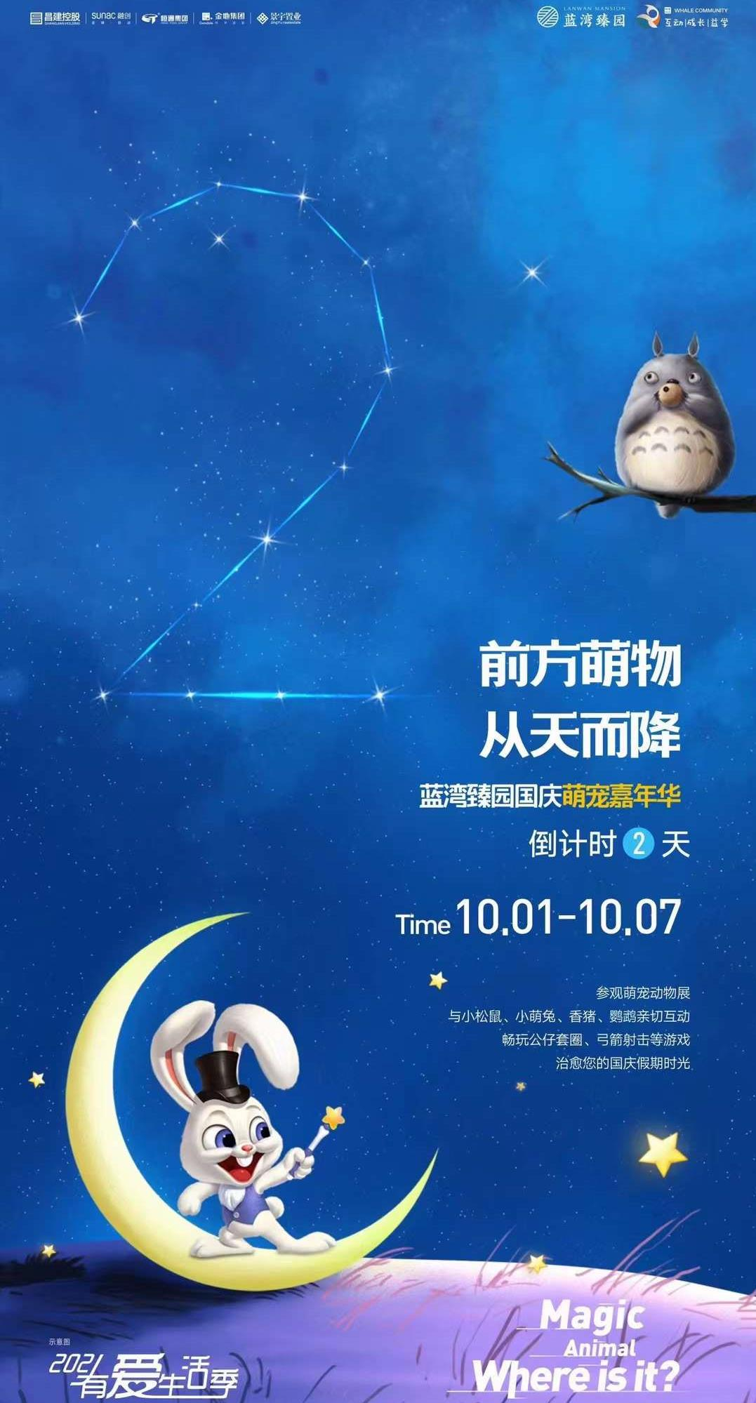 活动
