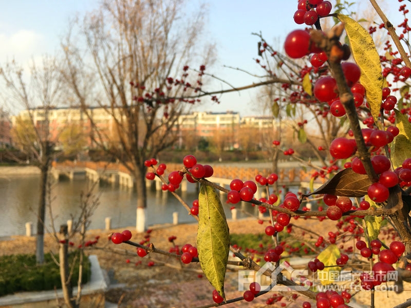 莱芜响水丽景图片