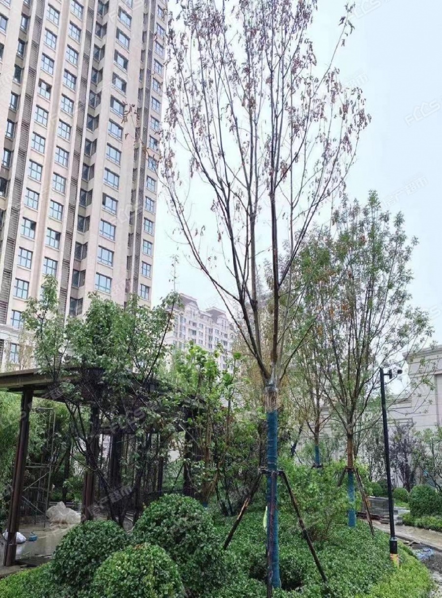 城投万欣城楼盘实景图2