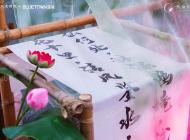 活动现场