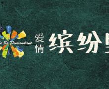 爱情缤纷里的封面图