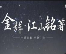 金辉江山铭著的封面图