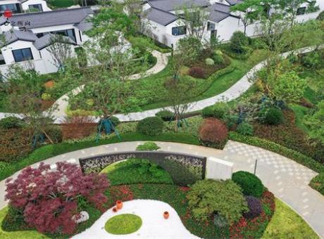 天目依云的封面图