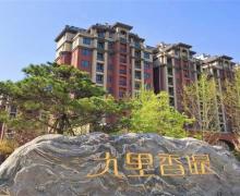 首尔甜城-九里香堤的封面图
