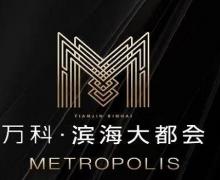 万科滨海大都会的封面图