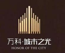 万科宝坻城市之光的封面图