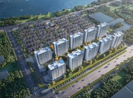 金成江潮鸣汇的封面图