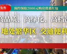 金色年华的封面图