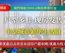 港悦金督的封面图