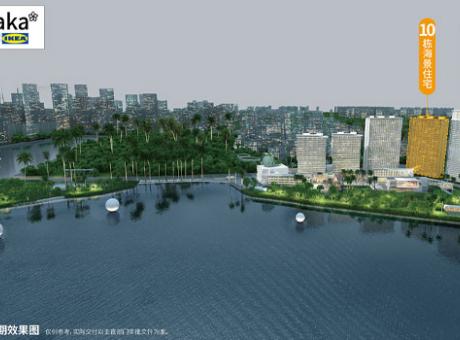 阿萨卡网红城市的封面图