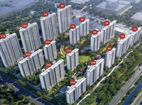 大华海启东方的封面图