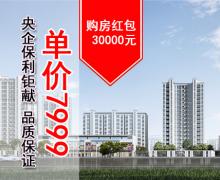 保利云上的封面图